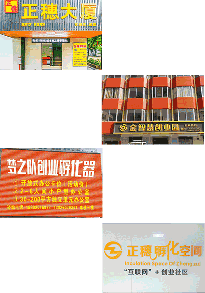 正穗知識產權實力展示